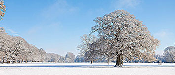 富力客场战平苏宁，延续不败纪录