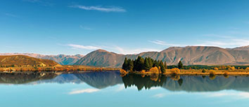 尼克斯大胜灰熊，约基奇独得分：一场震撼与思考并存的篮球盛宴