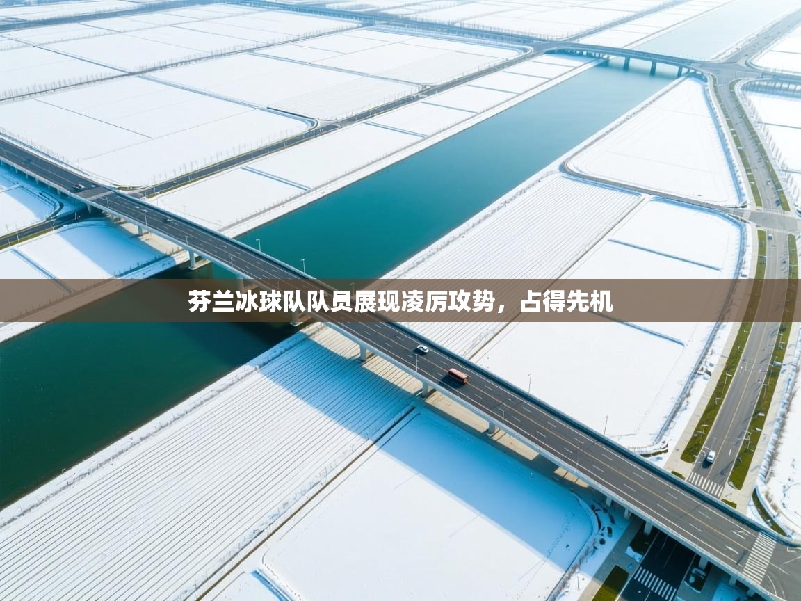 芬兰冰球队队员展现凌厉攻势，占得先机